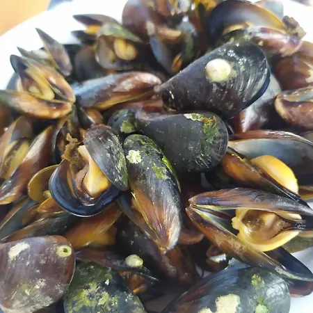 Valchevi 招待所 切尔诺莫雷茨