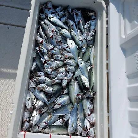 Πανσιόν Valchevi 3*