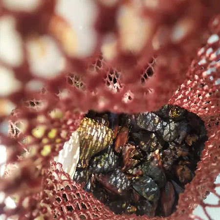 Pensjonat Valchevi 3*