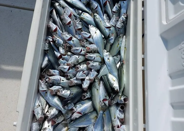 招待所 Valchevi 3*