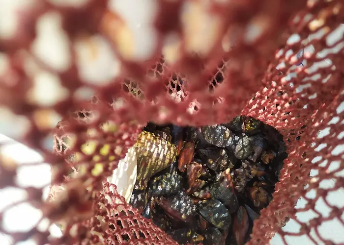 招待所 Valchevi 3*