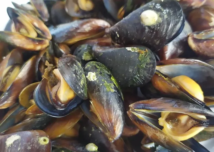 Valchevi 招待所 切尔诺莫雷茨